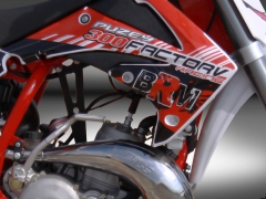 Puzey BRM 300 - 06