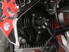 Puzey BRM 300 - 09