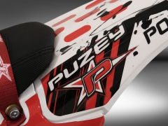 Puzey BRM 300 - 10