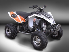 Puzey Madix 250 - 01