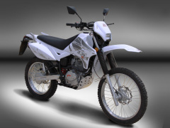 Puzey STX 200 Trail - 01